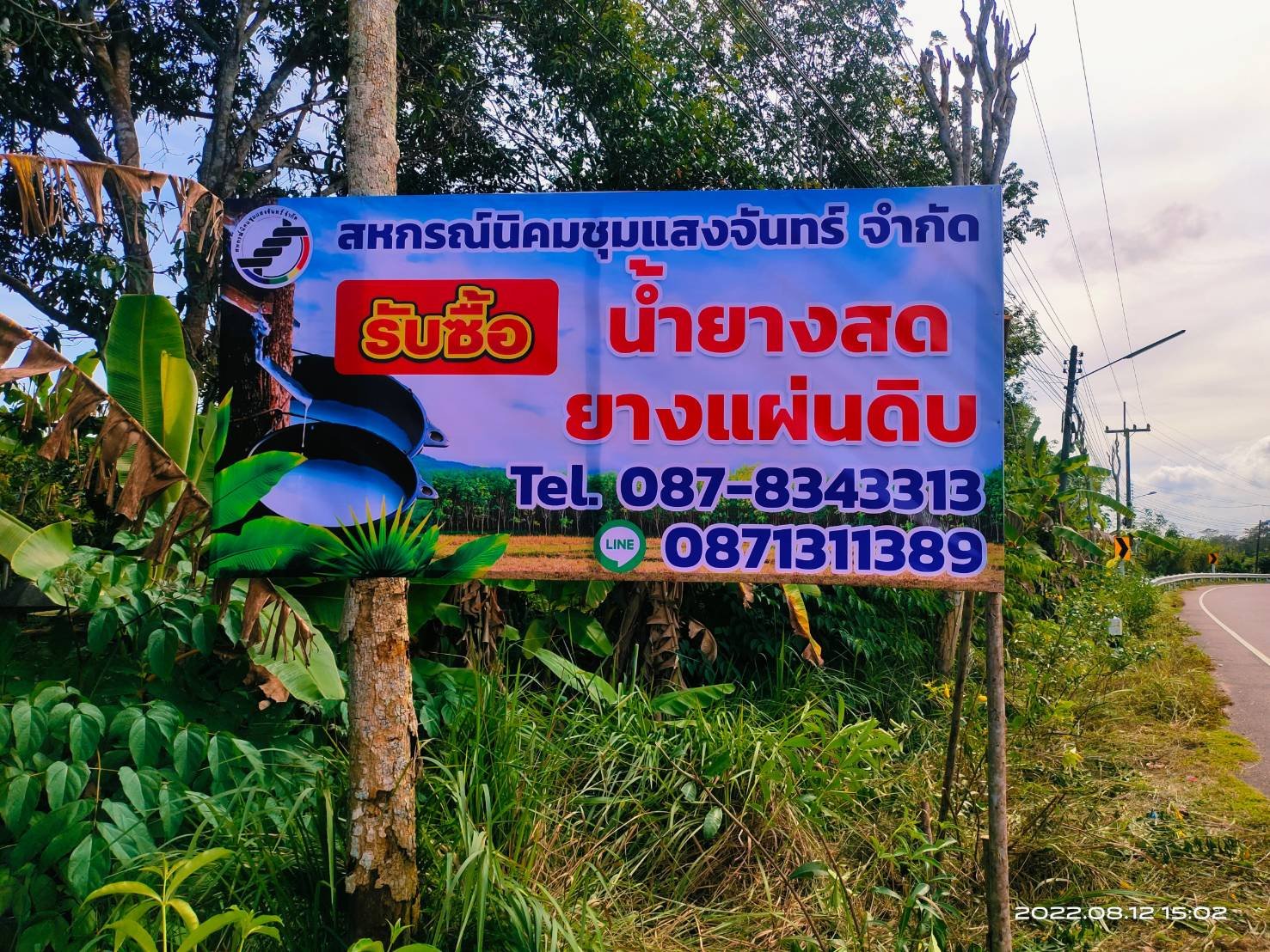 รับซื้อน้ำยางสด 15 สิงหาคม 2565